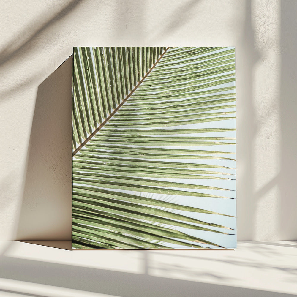 Intricate Pattern Of A Green Palm Leaf | Canvas