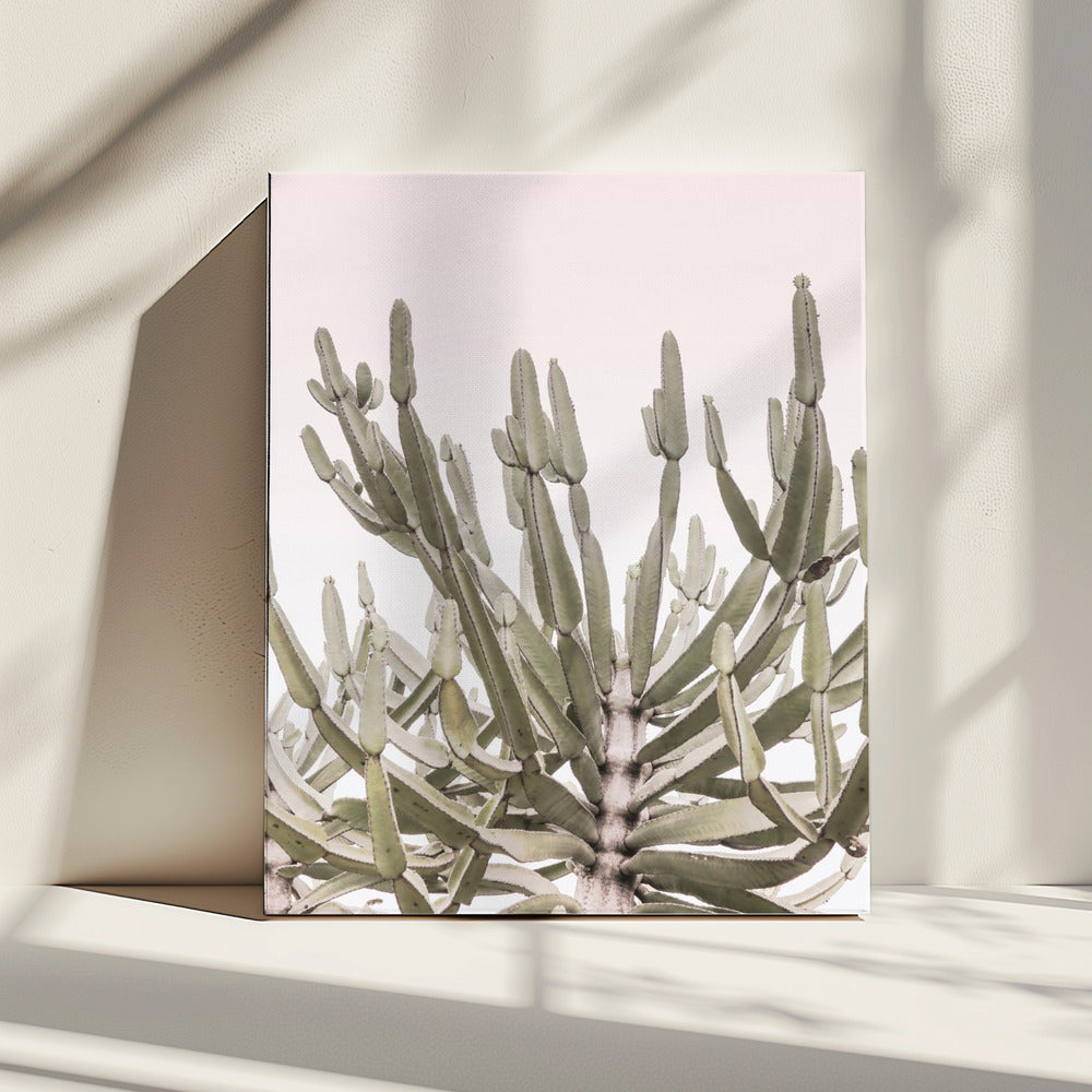 Serene Desert Growth | Canvas