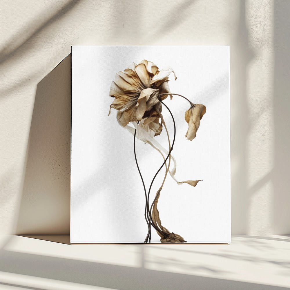 Wilted Elegance | Canvas