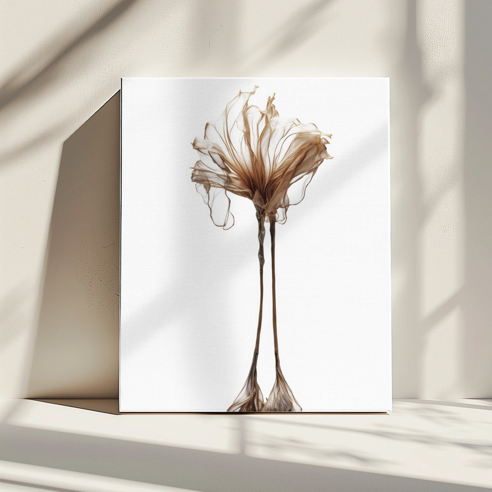 Delicate Whimsy | Canvas