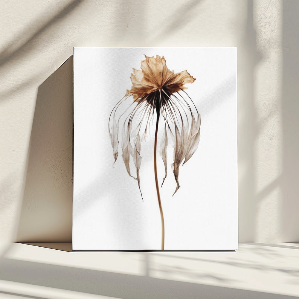 Faded Elegance | Canvas