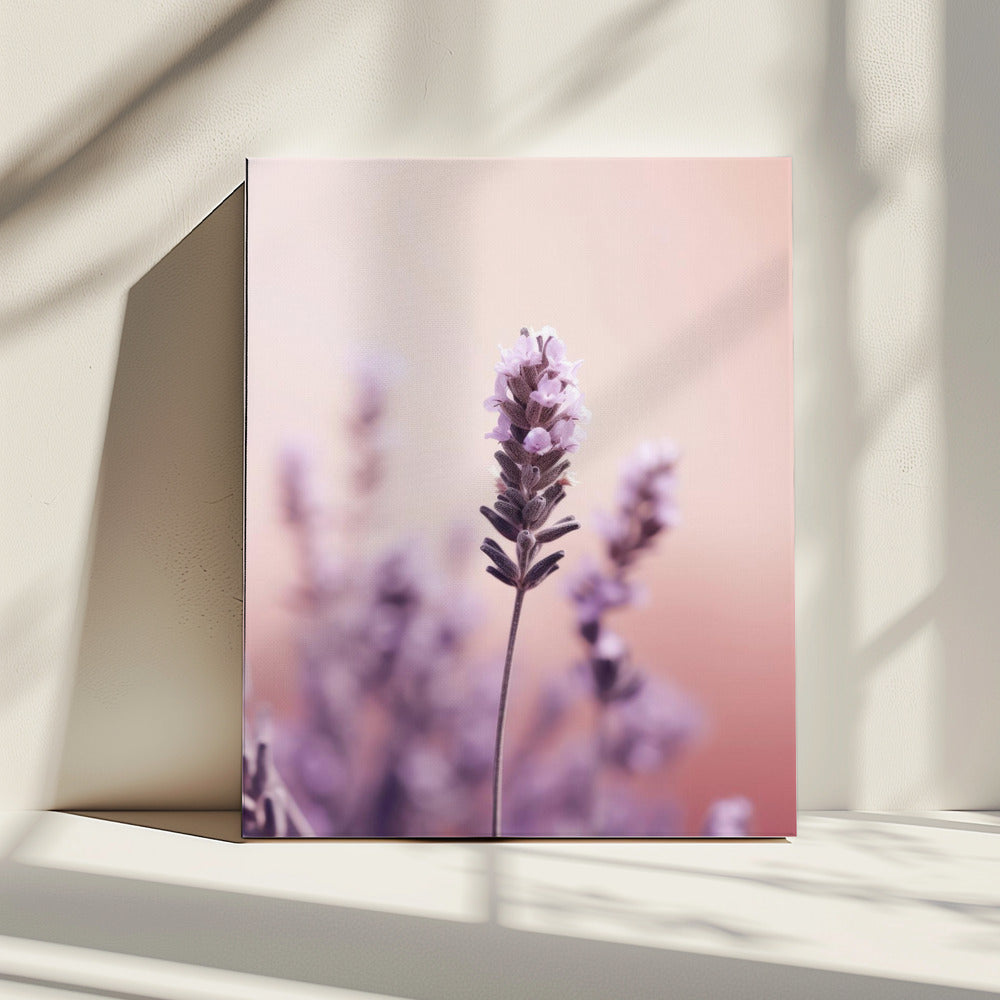 Lavender Serenity | Canvas