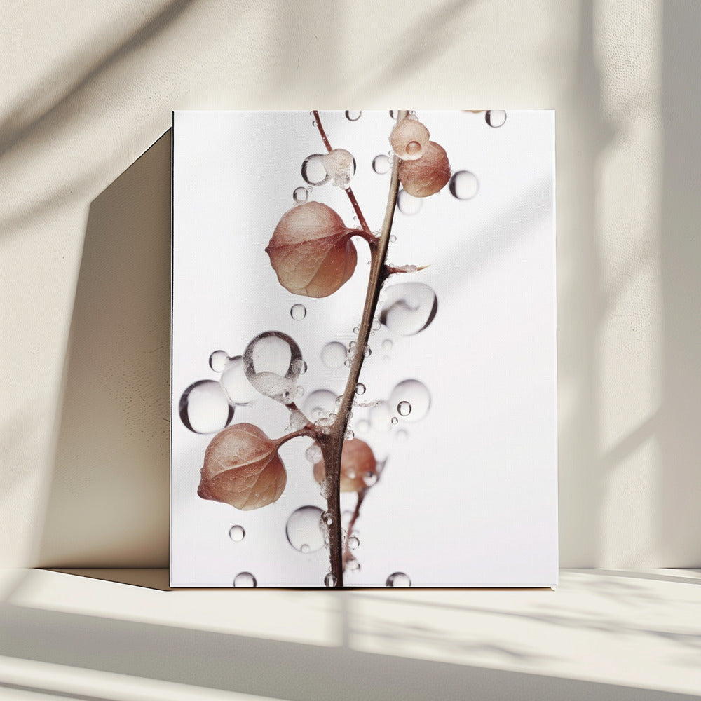 Bubbles and Blooms | Canvas