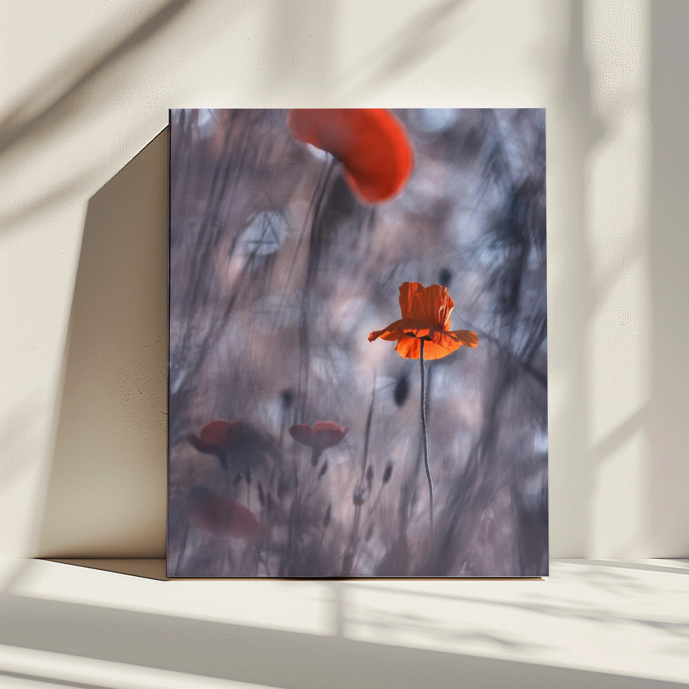 Desires and Passions | Canvas