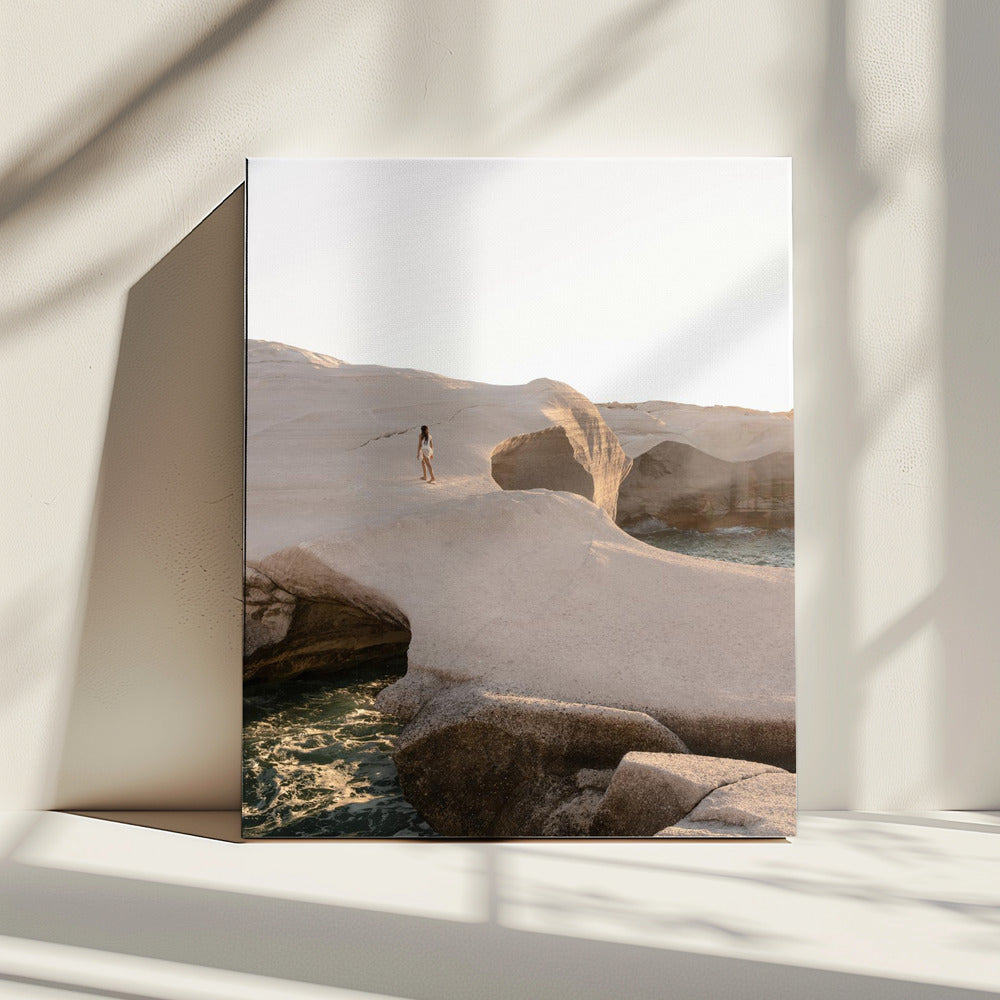 Moonscaping | Canvas