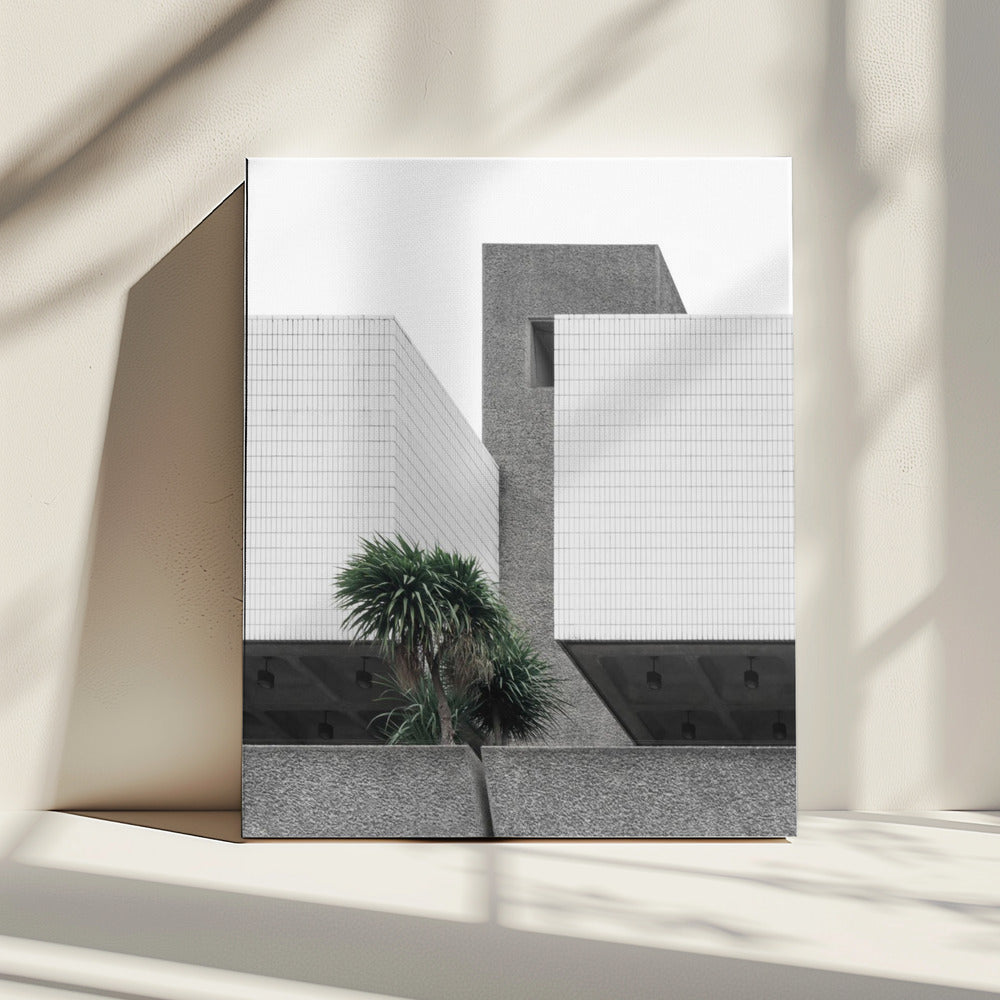 Lonely Palms | Canvas