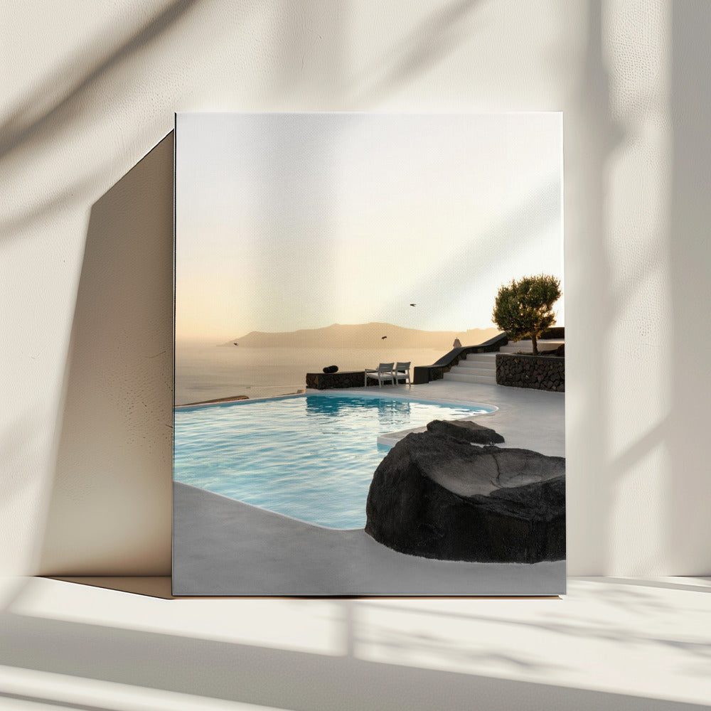 Birds Flying Over Swimming Pool | Canvas