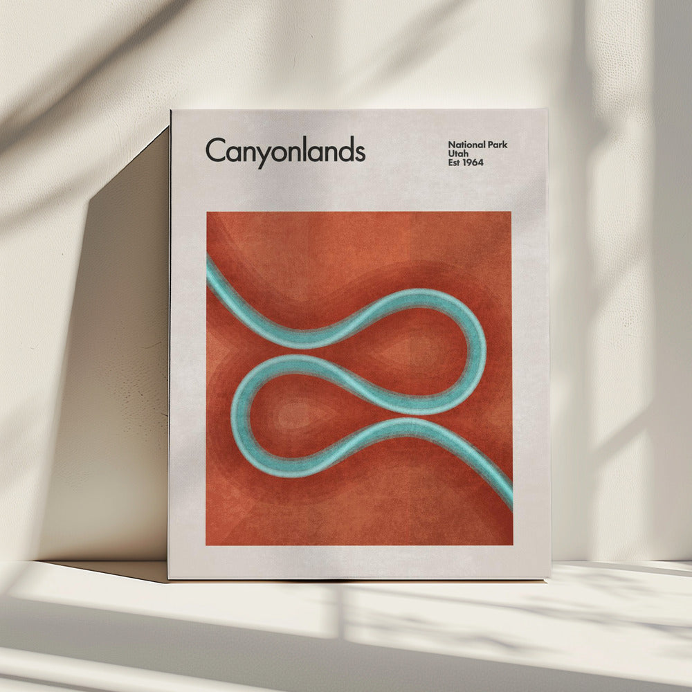 Winding River Paths | Canvas