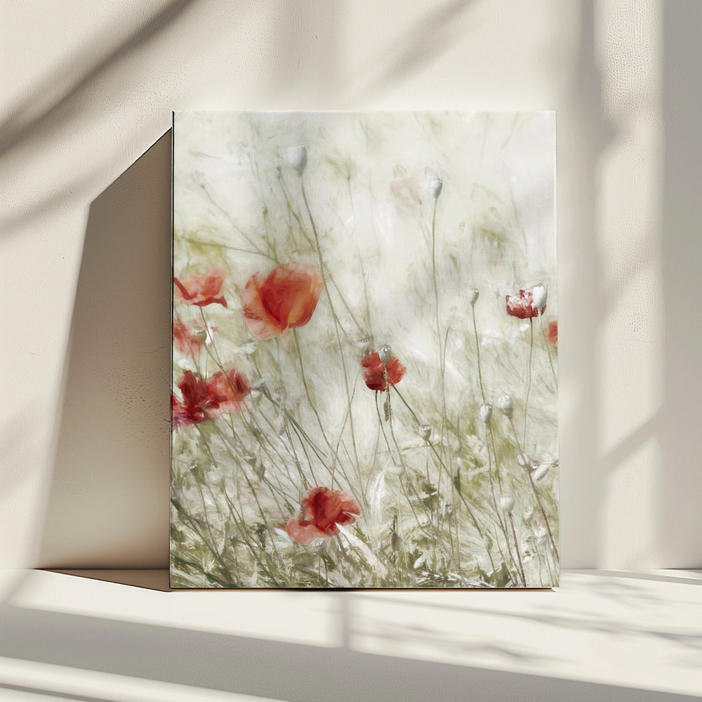 Corn Rose | Canvas