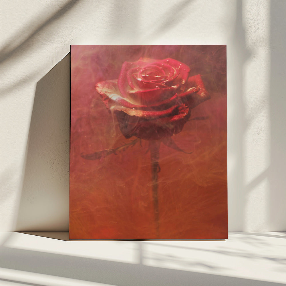 red rose and ink in water | Canvas