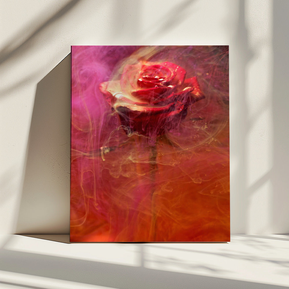 red rose and ink in water | Canvas