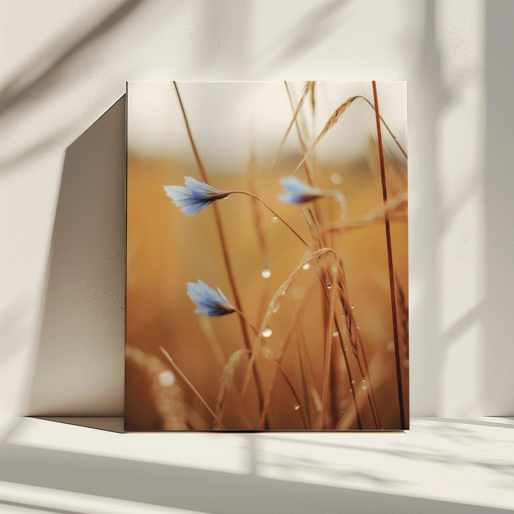 Blue Blooms at Dawn | Canvas