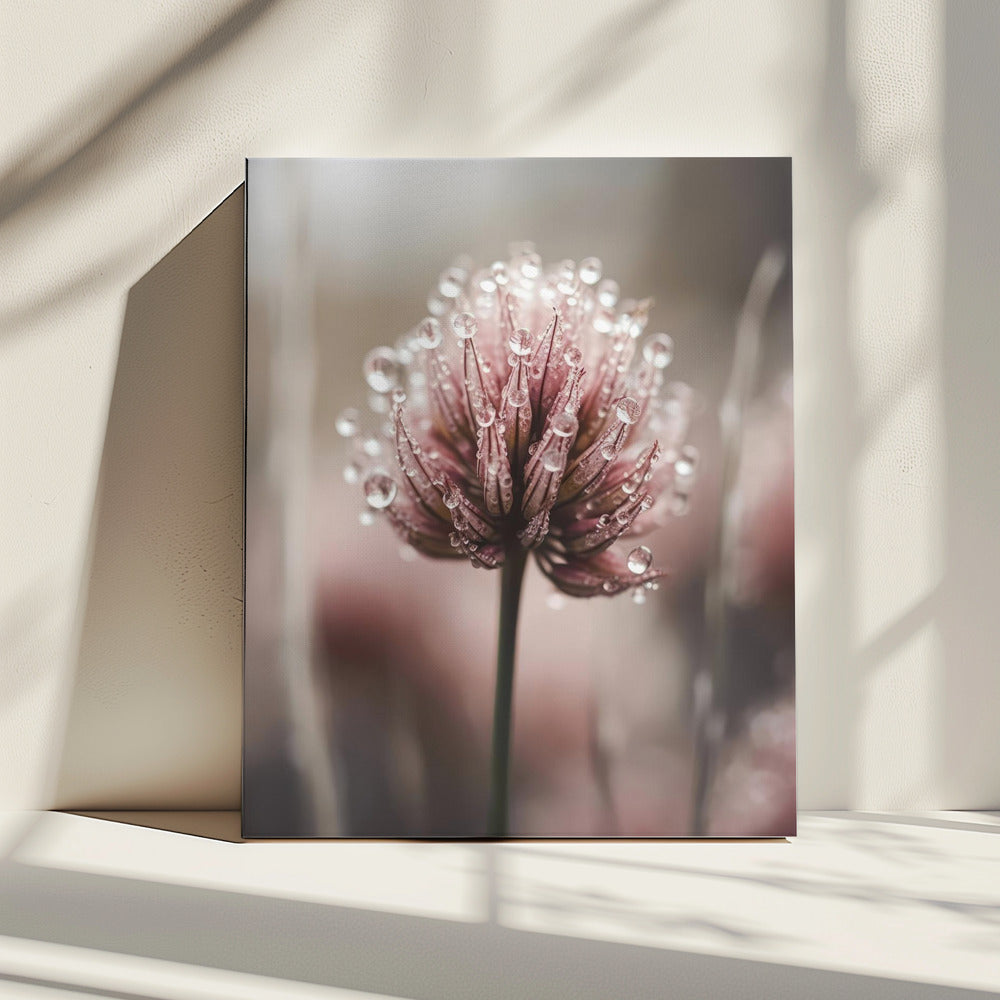 Dew-Kissed Blossom | Canvas