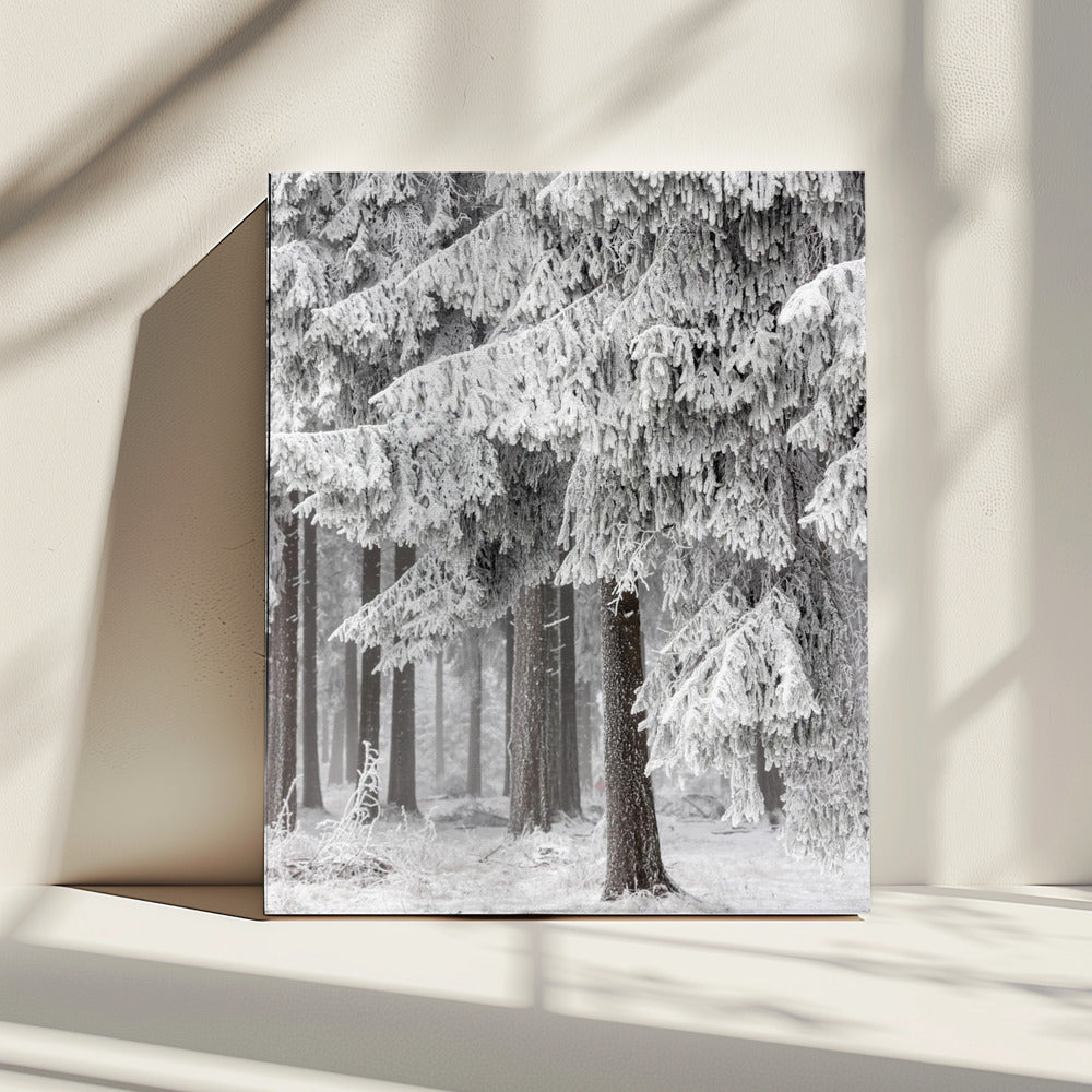 Winter Forest 2 | Canvas