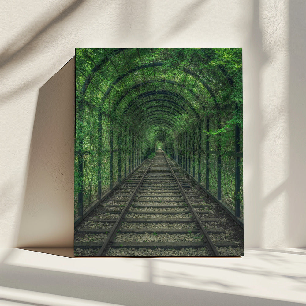 Green Tunnel | Canvas