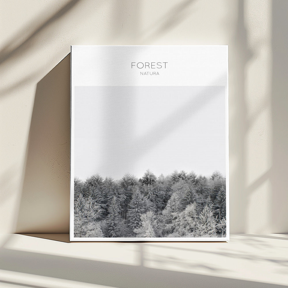 Frosted Tranquility | Canvas