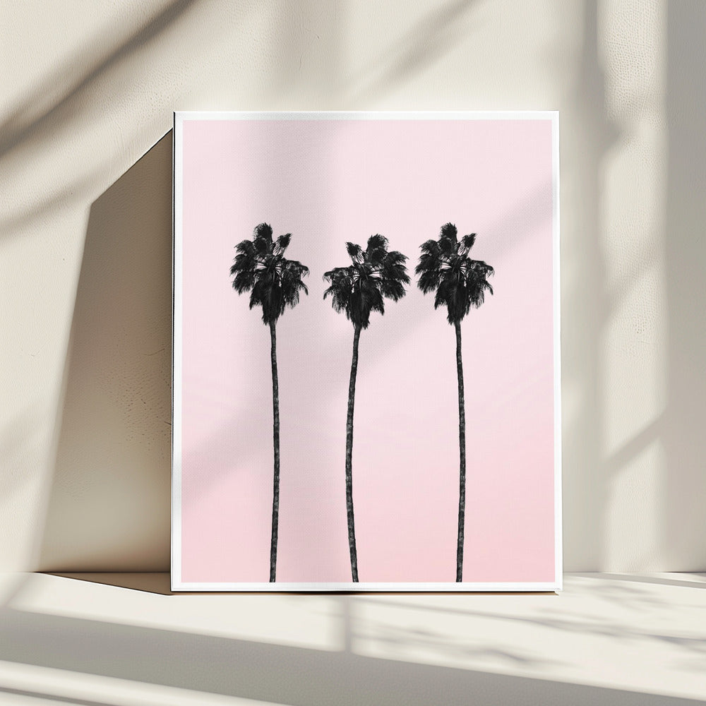 Three Tall Palms | Canvas