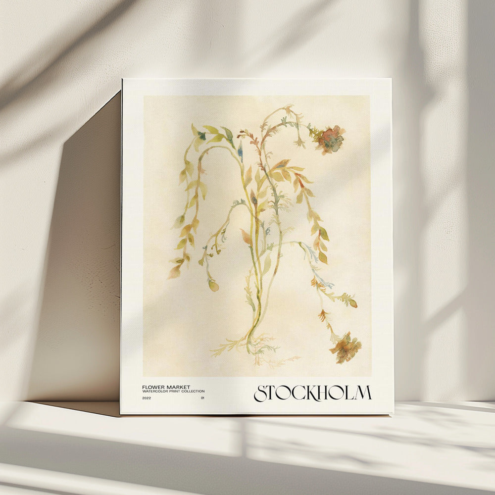 Watercolor print collection. Flower market - Stockholm | Canvas