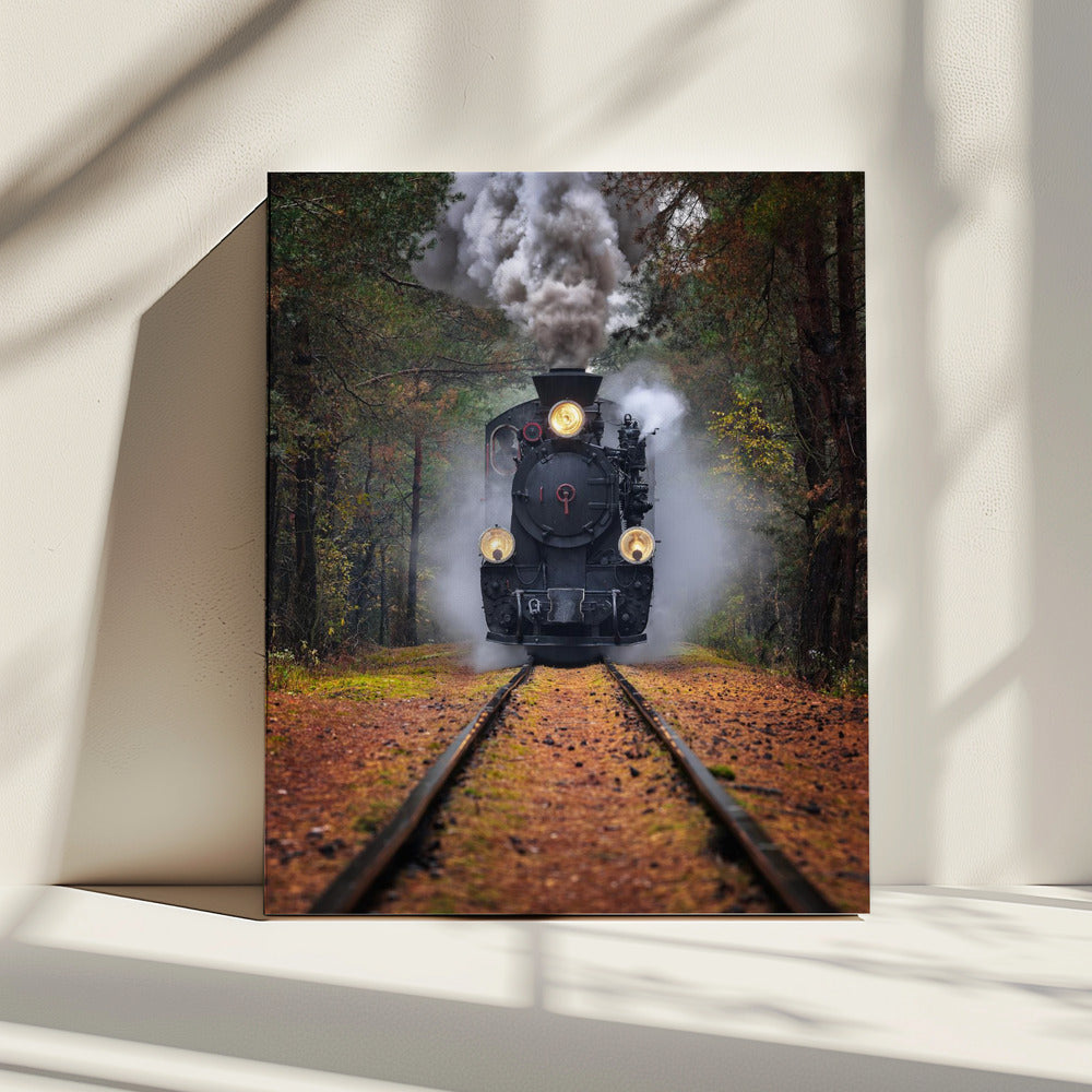 Through the autumn forest | Canvas