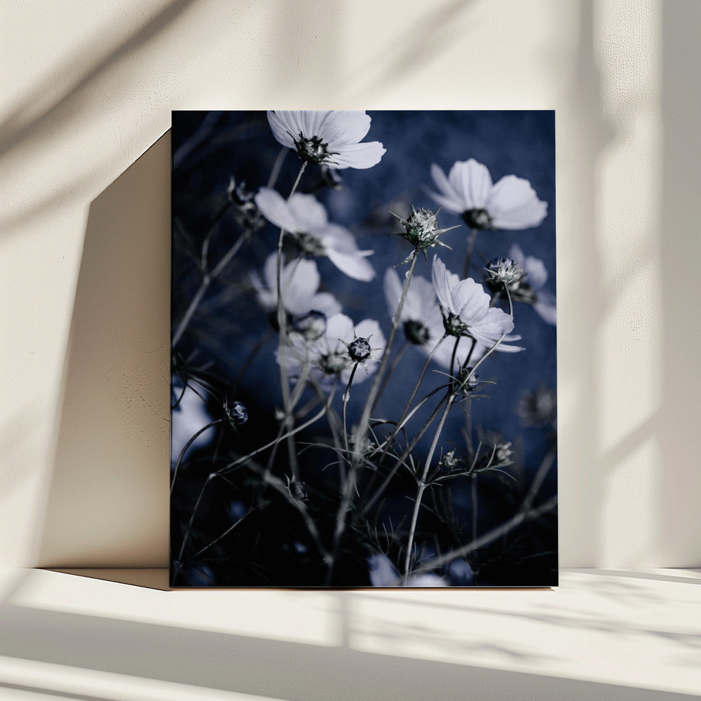 Wild Flowers 10 | Canvas
