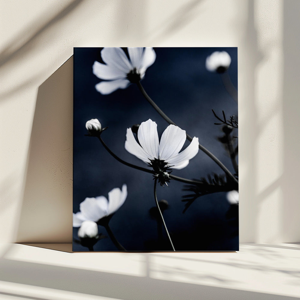 Wild Flowers 1 | Canvas