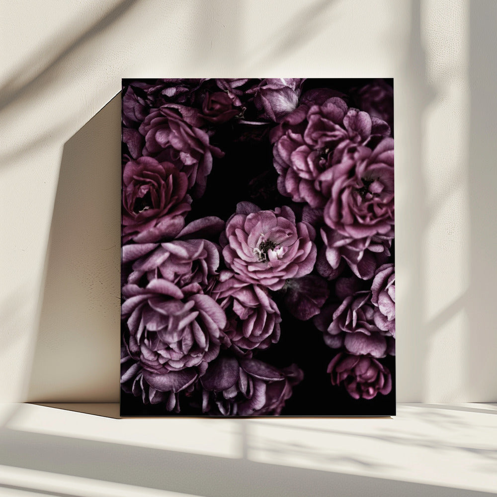 Wild Roses | Canvas