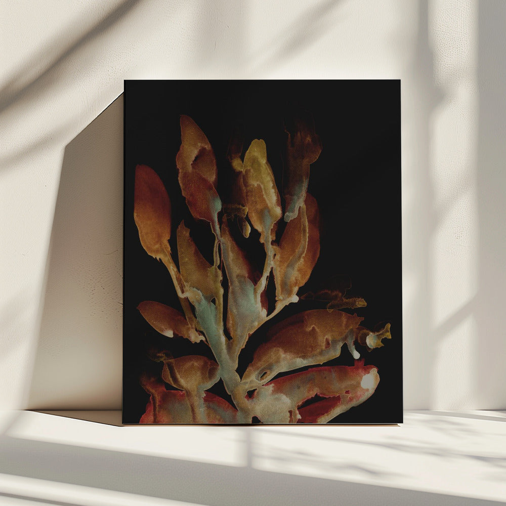Night Plant | Canvas