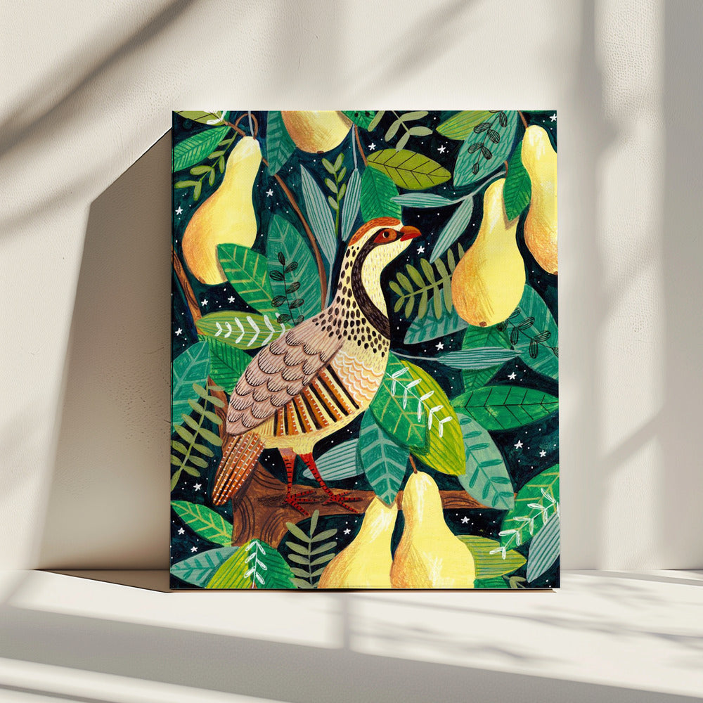 Partridge in a pear tree | Canvas