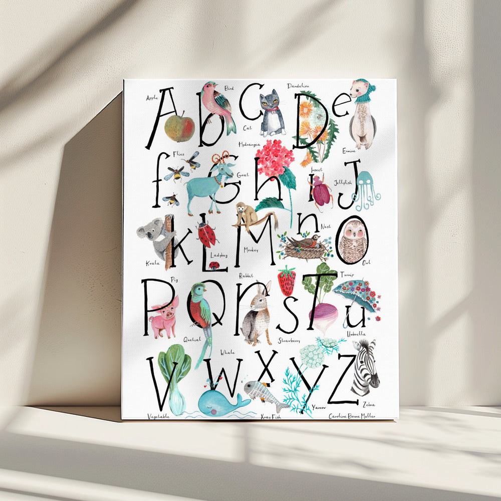 ABC illustration | Canvas