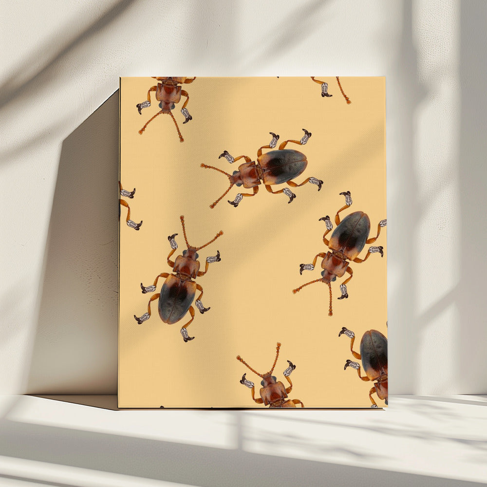 Billy The Booted Beetle | Canvas