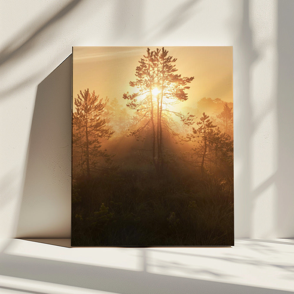 20220809  Dsf8009 Hdr 1 | Canvas