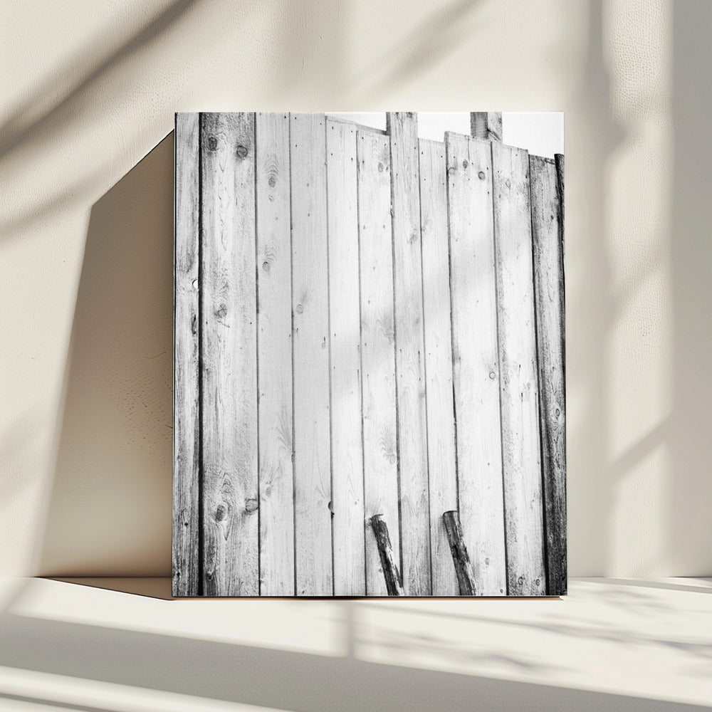 freed | Canvas