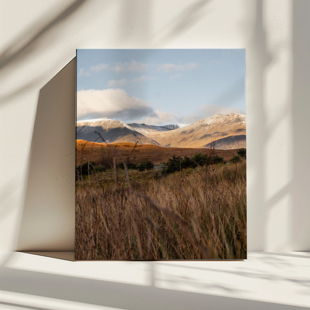 Highlands | Canvas