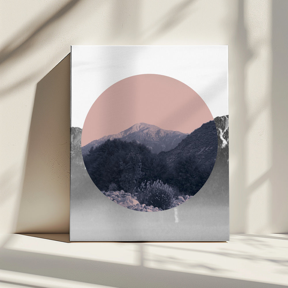 Shapes In Nature II | Canvas