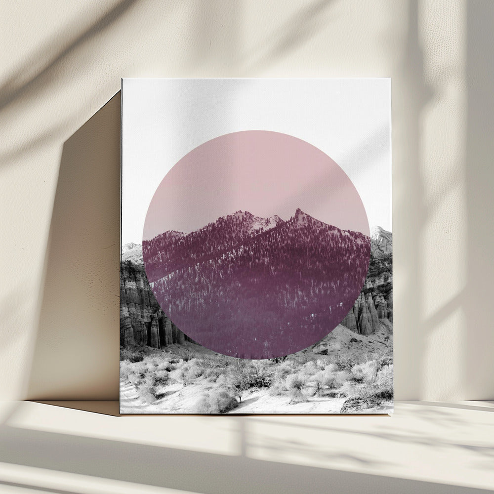 Shapes In Nature I | Canvas