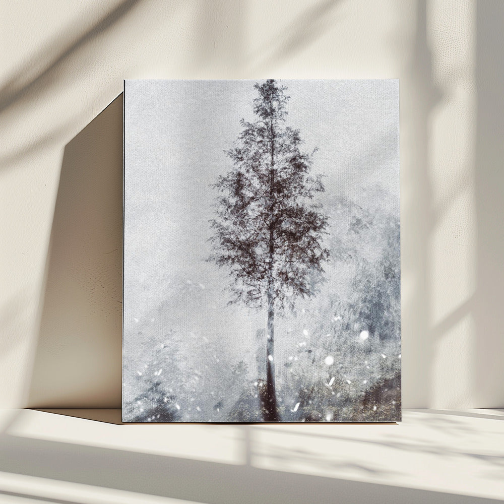 Woven natural dreams | Canvas