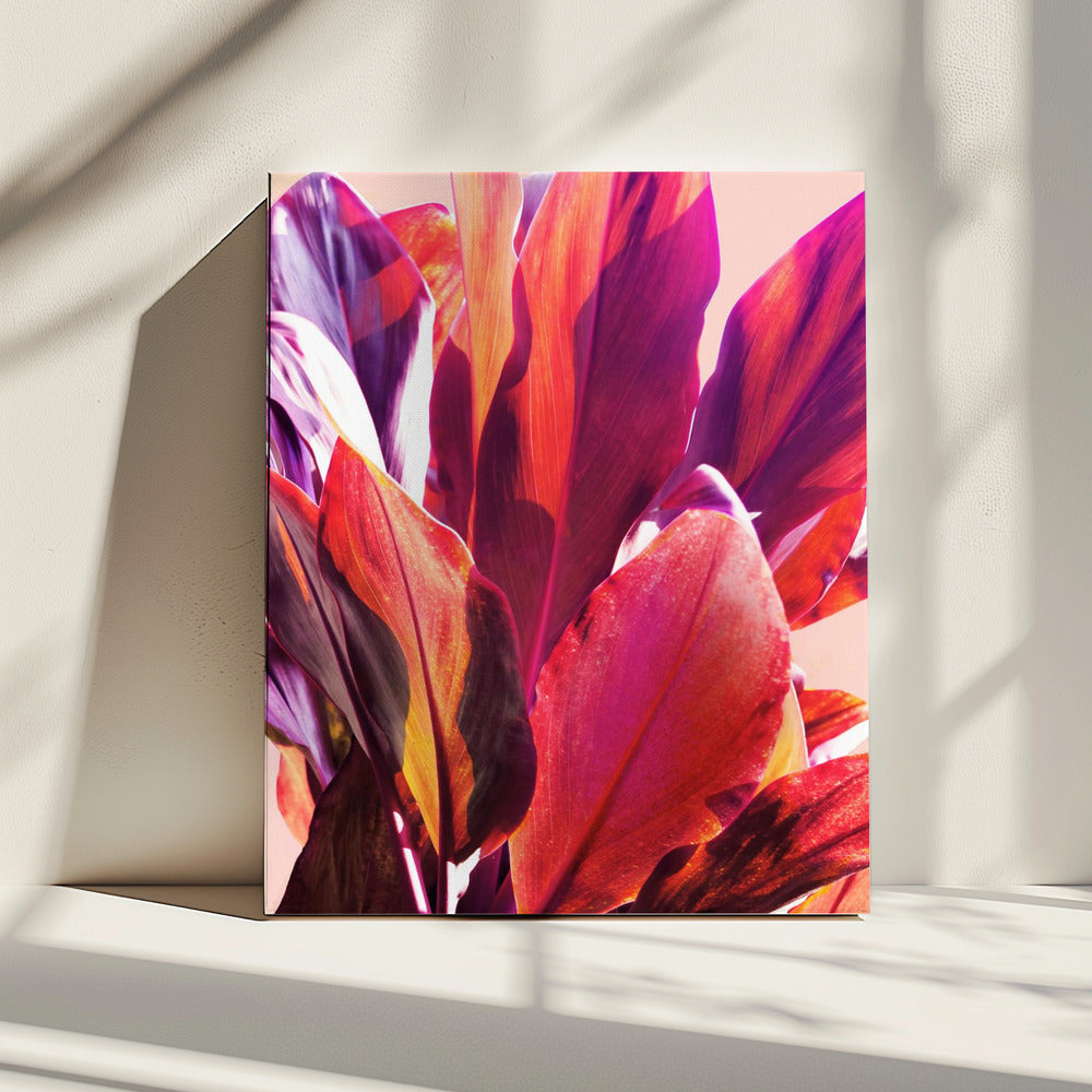 Fuchsia Leaves I | Canvas