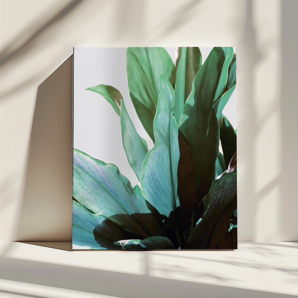Green Leaves | Canvas