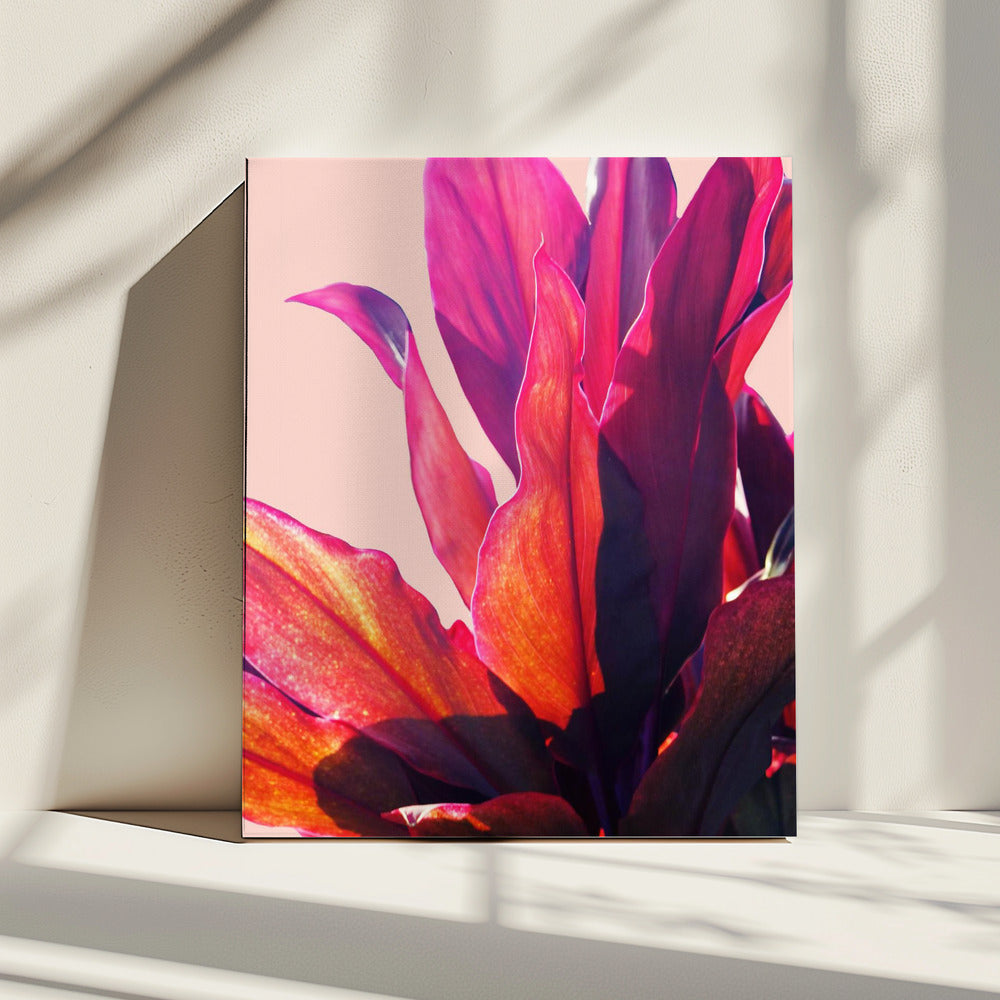 Fuchsia Leaves II | Canvas