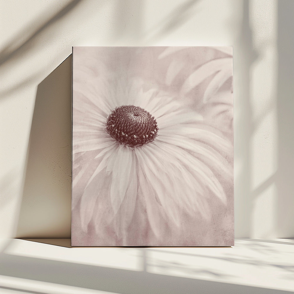 Reminiscence | Canvas