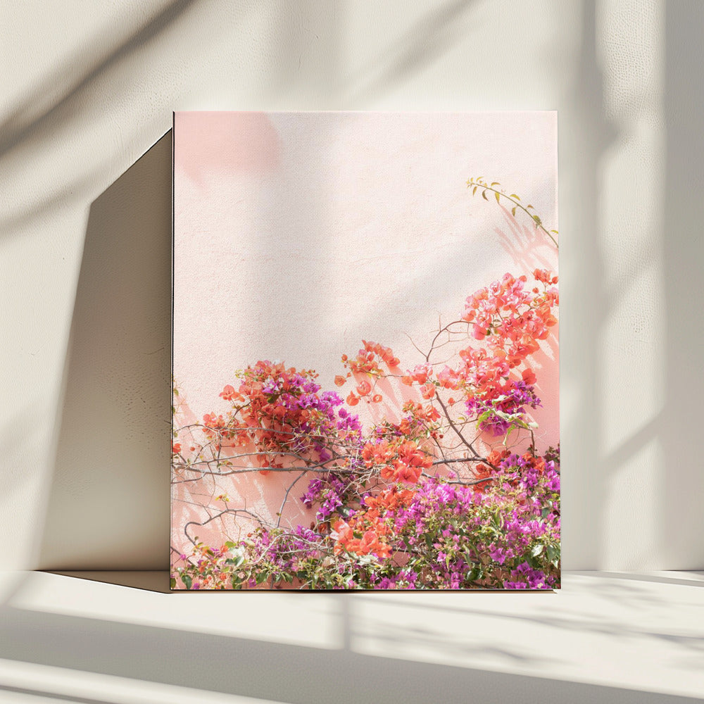 Pink Summer | Canvas