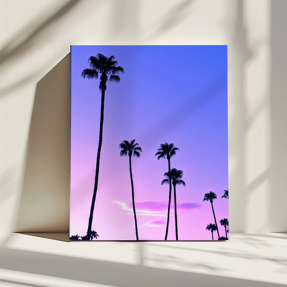 Palm Tree Sunset | Canvas