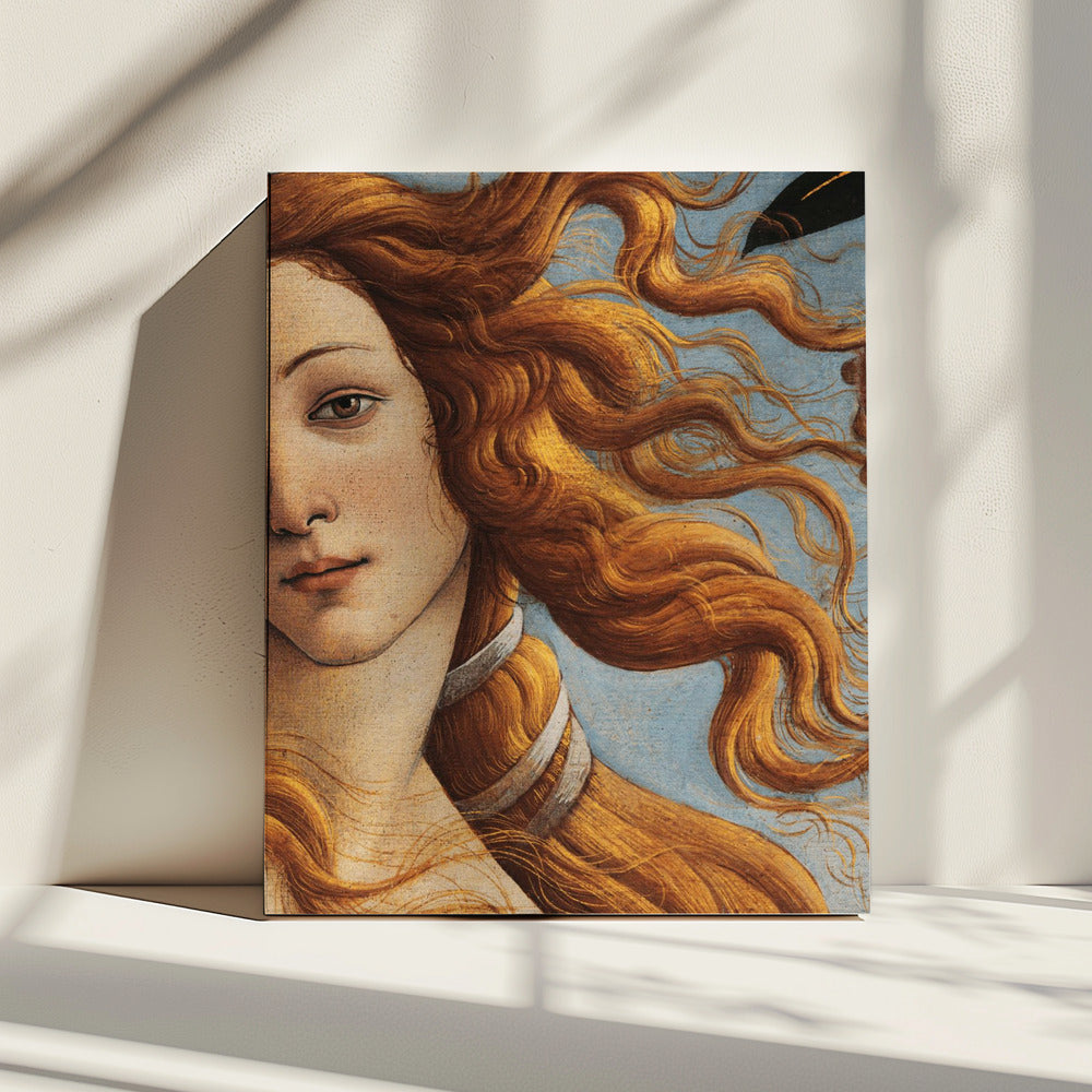 The Birth of Venus by Sandro Botticelli | Canvas