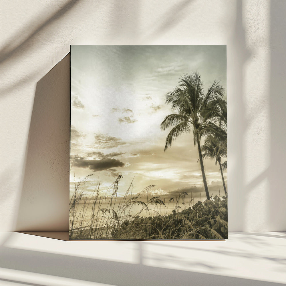 BONITA BEACH Vintage Sunset | Canvas