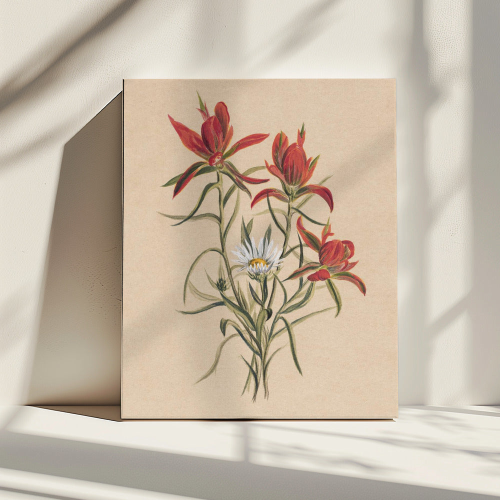 Indian Paintbrush (1883) | Canvas
