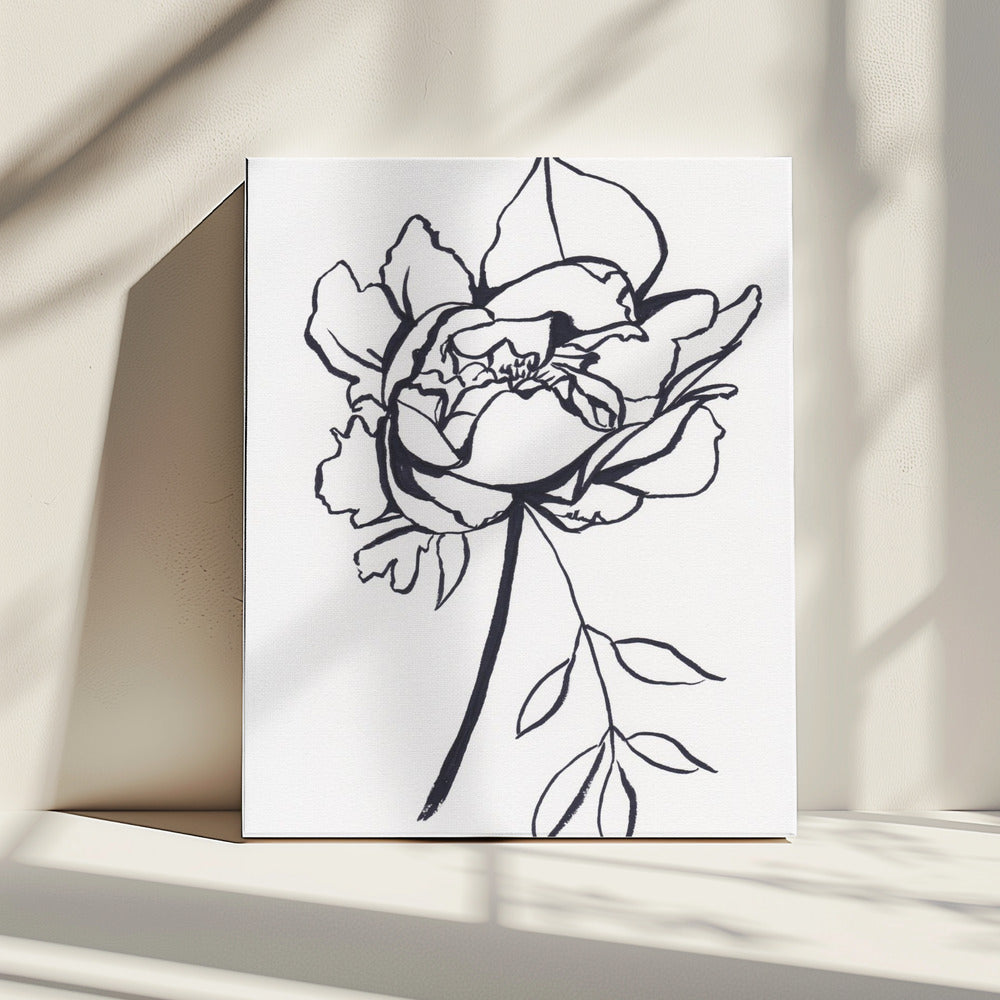 Black and White Peony Small | Canvas