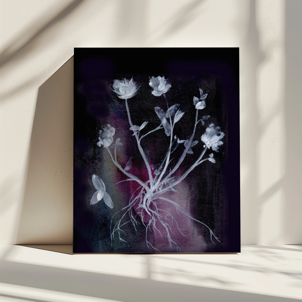 Secret Garden Ii | Canvas