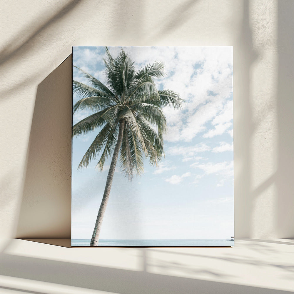 Palm tree at the beach 2 | Canvas
