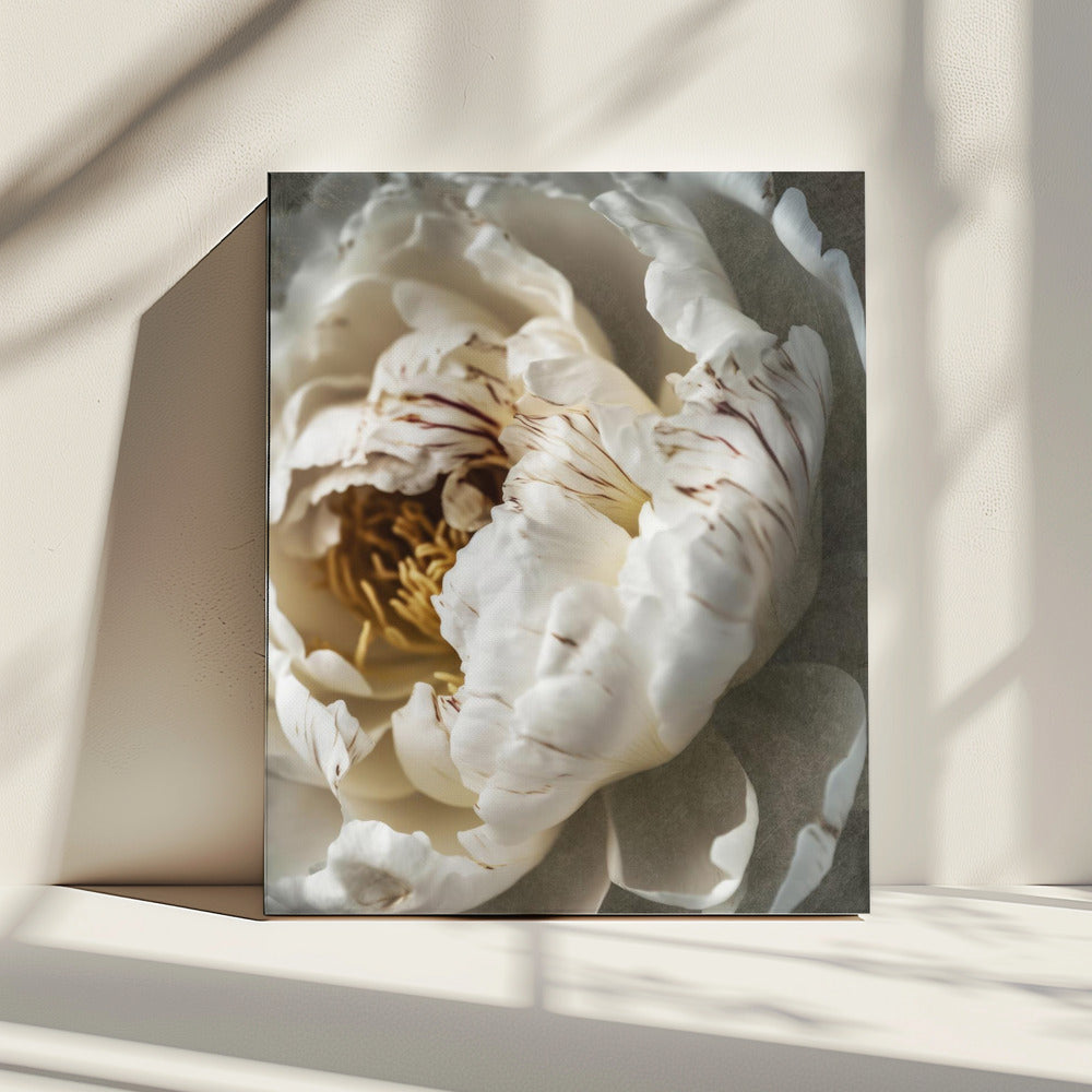 Petals of Serenity | Canvas