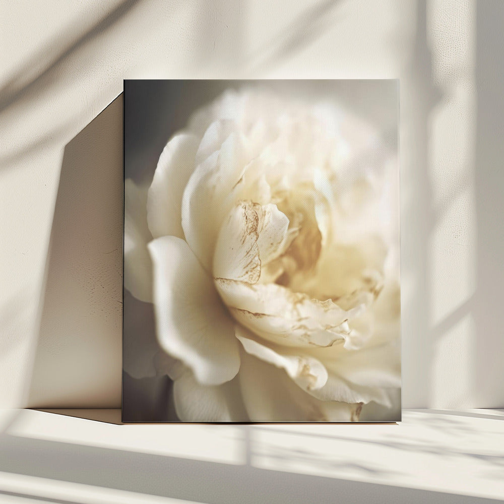 Ethereal Bloom | Canvas